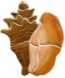 Conch Shell CS66 Sea Life Ceramic Mosaic