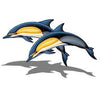 Common Dolphin-A Double (with shadow) Porcelain Mosaic