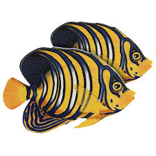 Regal Angelfish (Double) Porcelain Mosaic