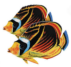 Raccoon Butterflyfish (Double) Porcelain Mosaic