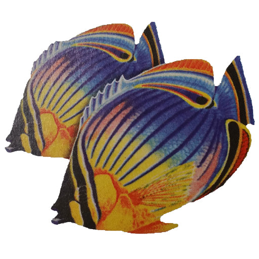 Redfin Butterflyfish (Double) Porcelain Mosaic